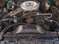 1979 Ford Thunderbird for sale in Riverhead, New York (ID-130945)