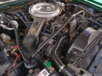 1979 Ford Thunderbird for sale in Riverhead, New York (ID-130945)