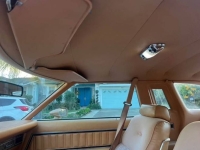 1979 Ford Thunderbird for sale in Michigan (ID-137761)