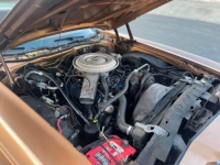 1979 Ford Thunderbird for sale in Michigan (ID-137761)