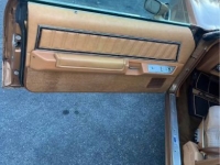 1979 Ford Thunderbird for sale in Michigan (ID-137761)