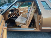 1979 Ford Thunderbird for sale in Michigan (ID-137761)
