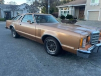 1979 Ford Thunderbird for sale in Michigan (ID-137761)