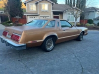 1979 Ford Thunderbird for sale in Michigan (ID-137761)