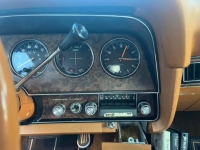 1979 Ford Thunderbird for sale in Michigan (ID-137761)