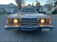 1979 Ford Thunderbird for sale in Michigan (ID-137761)