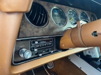 1979 Ford Thunderbird for sale in Michigan (ID-137761)