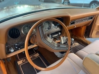 1979 Ford Thunderbird for sale in Michigan (ID-137761)