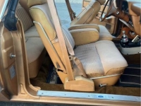 1979 Ford Thunderbird for sale in Michigan (ID-137761)