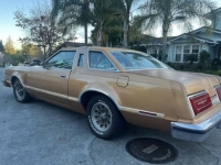 1979 Ford Thunderbird for sale in Michigan (ID-137761)