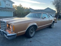 1979 Ford Thunderbird for sale in Michigan (ID-137761)