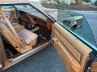 1979 Ford Thunderbird for sale in Michigan (ID-137761)
