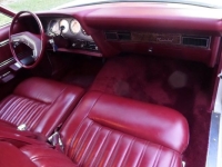 1979 Ford Thunderbird for sale in Michigan (ID-141643)