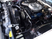 1979 Ford Thunderbird for sale in Michigan (ID-141643)