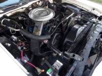 1979 Ford Thunderbird for sale in Michigan (ID-141643)