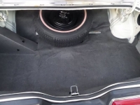 1979 Ford Thunderbird for sale in Michigan (ID-141643)