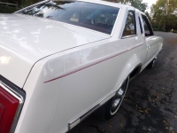 1979 Ford Thunderbird for sale in Michigan (ID-141643)