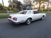 1979 Ford Thunderbird for sale in Michigan (ID-141643)