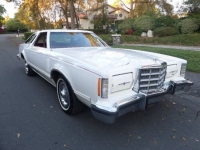 1979 Ford Thunderbird for sale in Michigan (ID-141643)