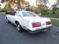 1979 Ford Thunderbird for sale in Michigan (ID-141643)