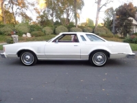 1979 Ford Thunderbird for sale in Michigan (ID-141643)