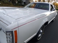 1979 Ford Thunderbird for sale in Michigan (ID-141643)