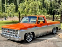 1979 GMC C1500 for sale in Michigan (ID-139810)