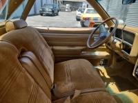 1979 GMC Caballero for sale in Michigan (ID-118187)