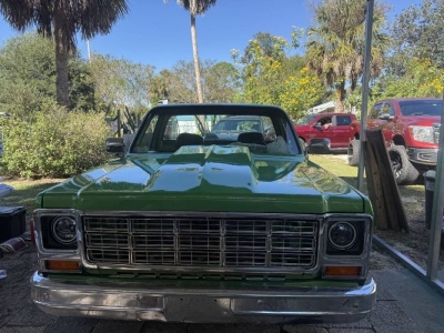 1979 GMC Sierra for sale