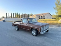1979 GMC Sierra for sale in Michigan (ID-156243)