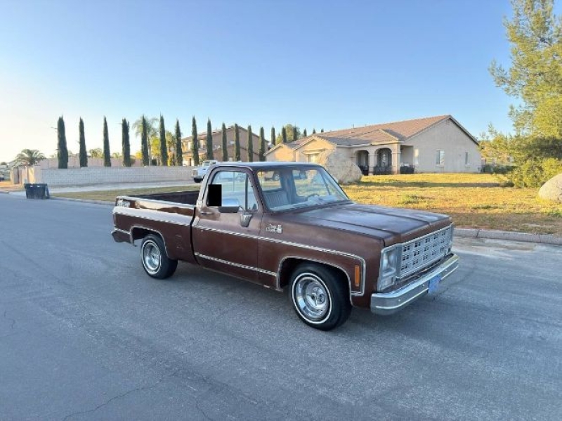 1979 GMC Sierra for sale in Michigan (ID-161916)