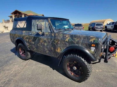 1979 International Scout for sale