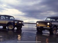 1979 International Scout for sale in Michigan (ID-127061)