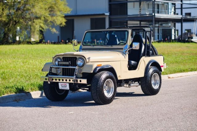 1979 Jeep CJ for sale in Riverhead, New York (ID-114313)
