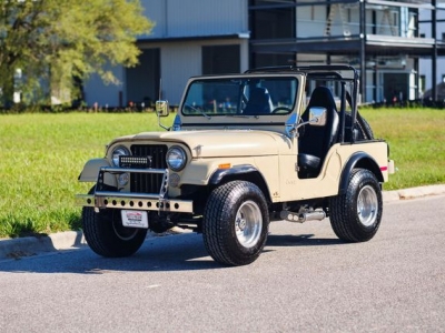 1979 Jeep CJ for sale