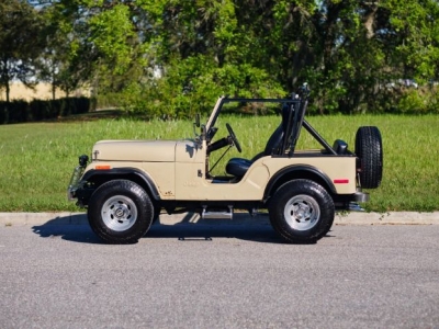 1979 Jeep CJ for sale