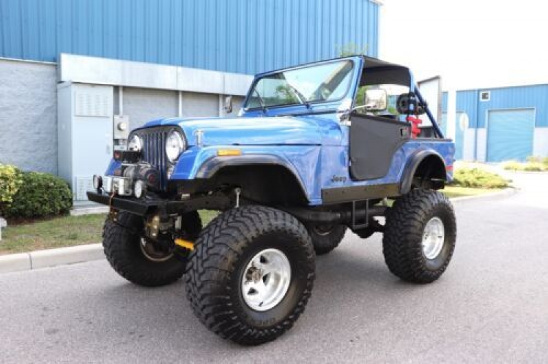 1979 Jeep CJ5 for sale in Michigan (ID-100827)