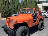 1979 Jeep CJ5 for sale in Michigan (ID-108025)