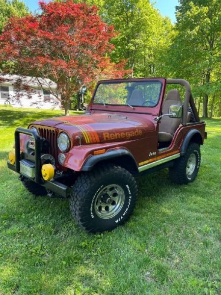 1979 Jeep CJ5 for sale in Michigan (ID-117760) 1979 Jeep CJ5 for sale in Michigan (ID-117760)