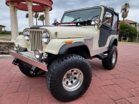 1979 Jeep CJ5 for sale (ID-127924)