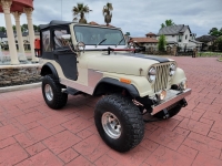 1979 Jeep CJ5 for sale (ID-127924)