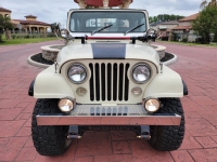 1979 Jeep CJ5 for sale (ID-127924)
