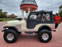 1979 Jeep CJ5 for sale (ID-127924)