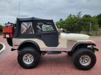 1979 Jeep CJ5 for sale (ID-127924)