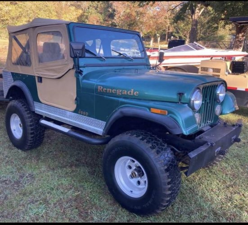 1979 Jeep CJ7 for sale in Michigan (ID-94848)