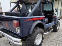 1979 Jeep CJ7 for sale in Michigan (ID-126611)