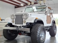 1979 Jeep CJ7 for sale in Michigan (ID-132715)