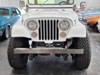 1979 Jeep CJ7 for sale in Michigan (ID-132715)