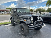 1979 Jeep CJ7 for sale in Michigan (ID-143206)