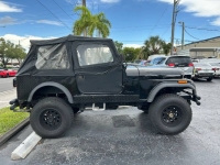 1979 Jeep CJ7 for sale in Michigan (ID-143206)